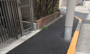 violets on the sidewalk